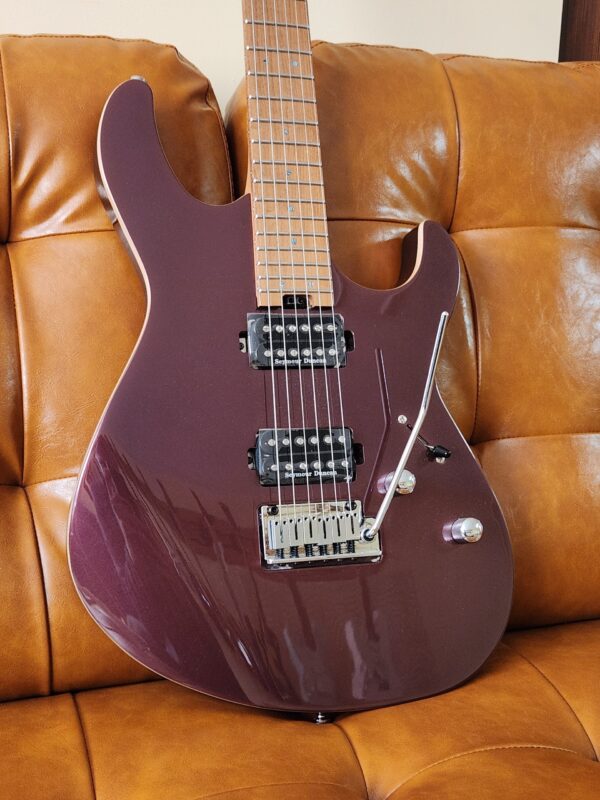 Cort G300 Pro Burgandy