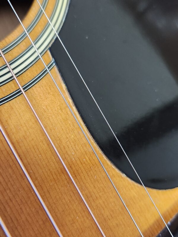1970 Martin D-28 Indian RW w/HSC Consignment SOLD - Image 8