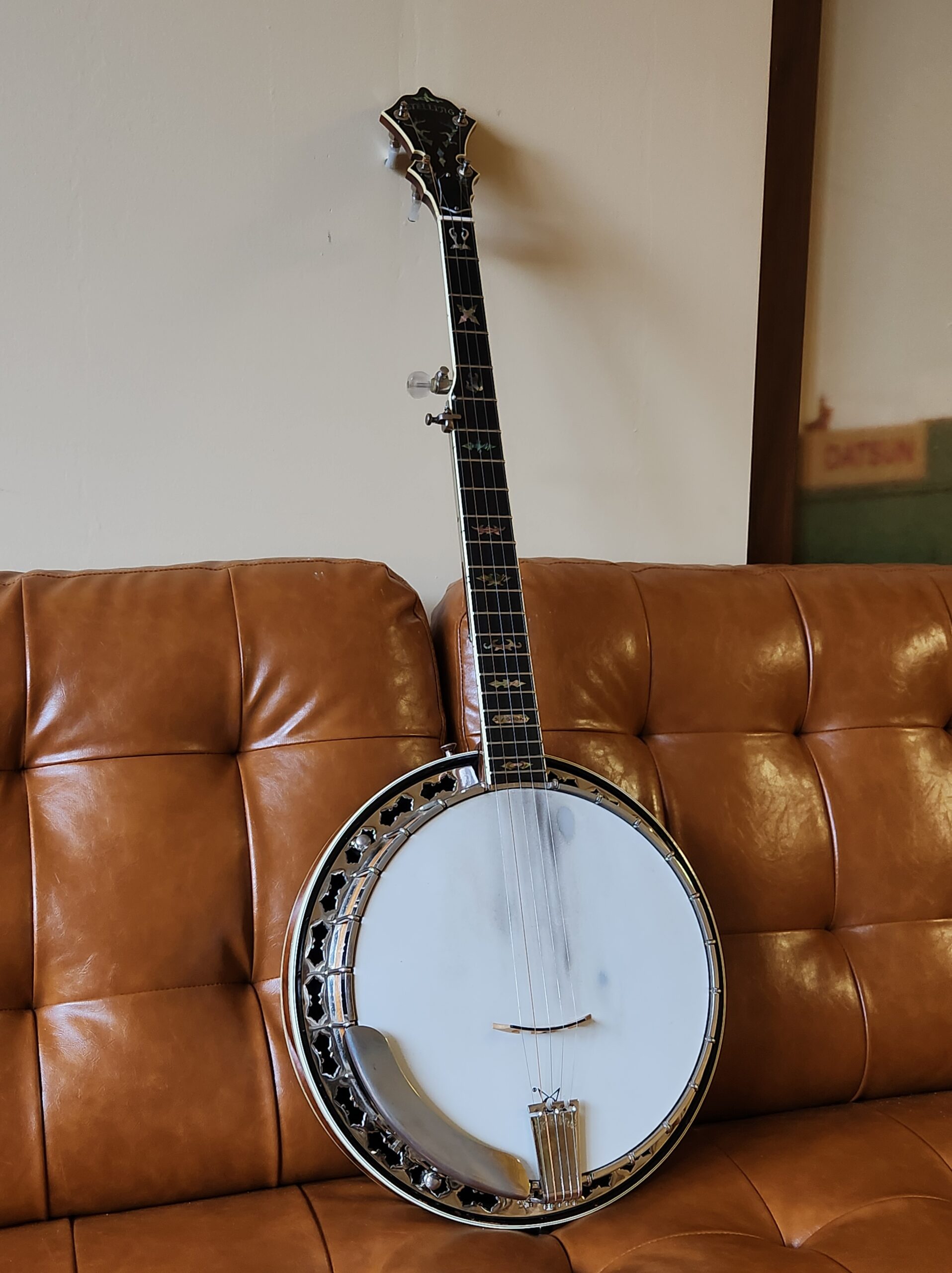 Stelling staghorn banjo new arrivals