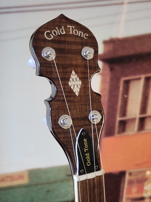 Goldtone BG-250F Banjo w/case Consignment - Image 3