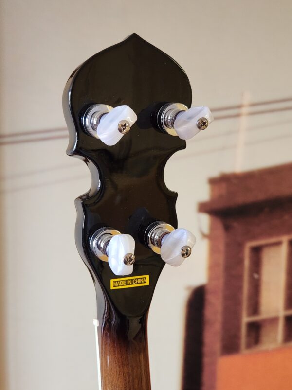 Goldtone BG-250F Banjo w/case Consignment - Image 4