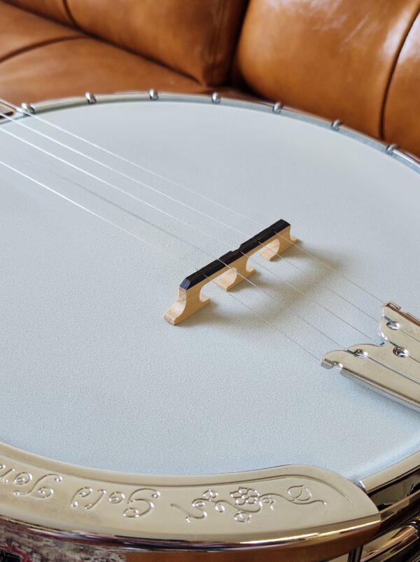 Goldtone BG-250F Banjo w/case Consignment - Image 7