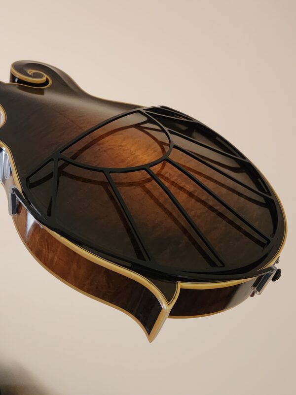 Mandolin ToneGard™ - Image 2