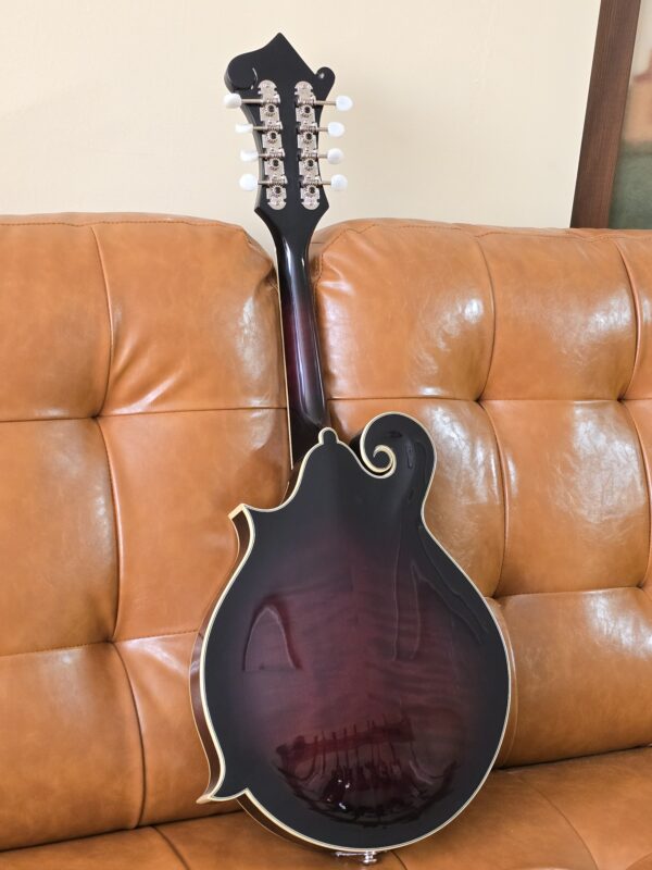 Rover RM-75 Used Mandolin - Image 2