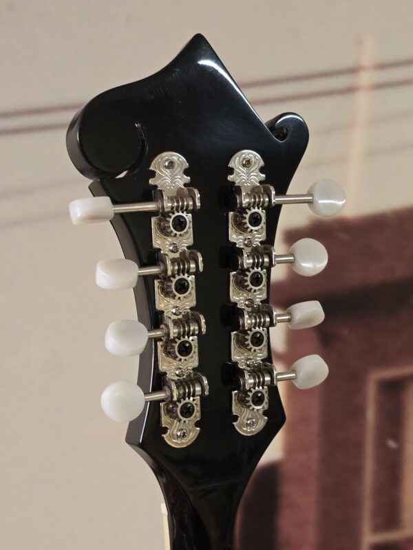 Rover RM-75 Used Mandolin - Image 4