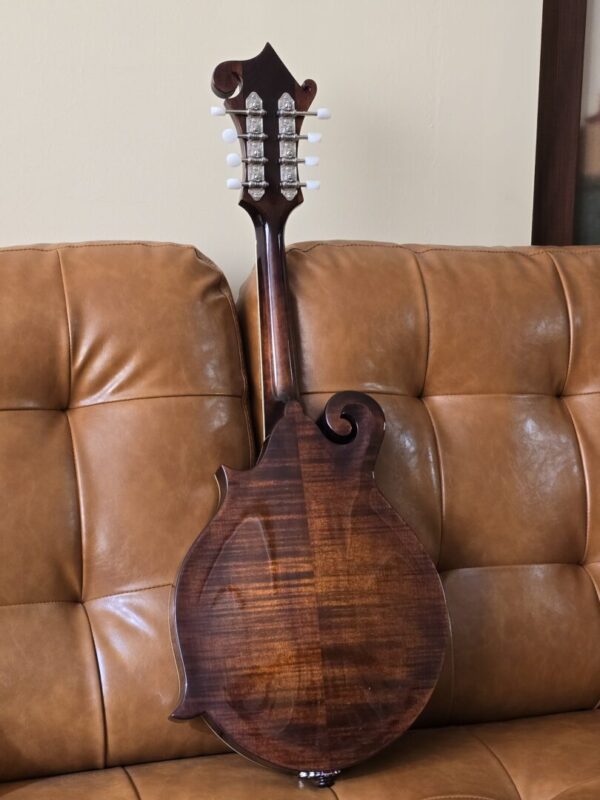 Eastman MD515 w/HSC New - Image 2