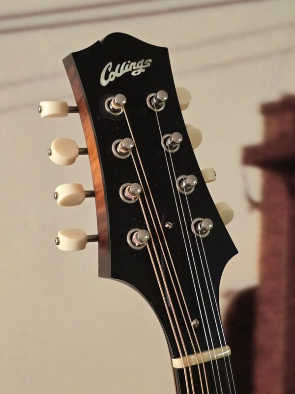 Used Collings MT w/Fishman Pickup and OHSC Consignment - Image 3