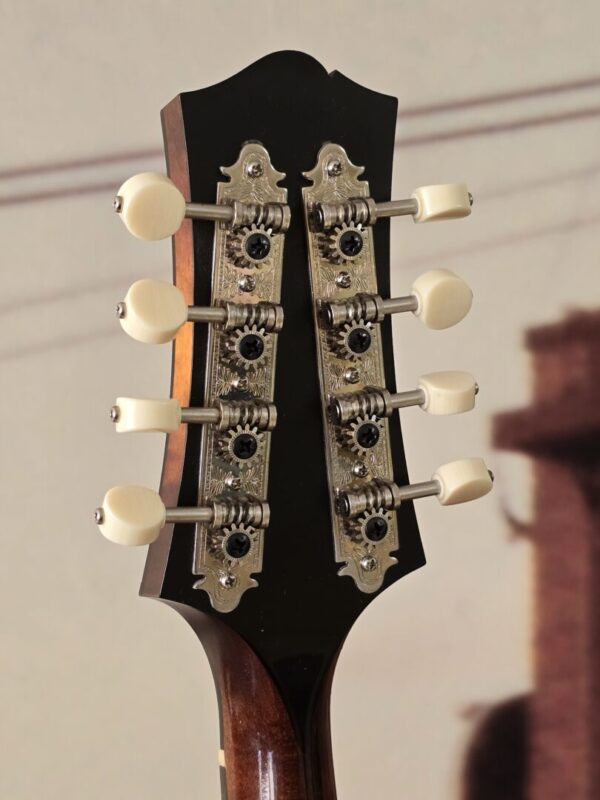 Used Collings MT w/Fishman Pickup and OHSC Consignment - Image 4