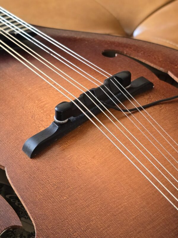 Used Collings MT w/Fishman Pickup and OHSC Consignment - Image 6