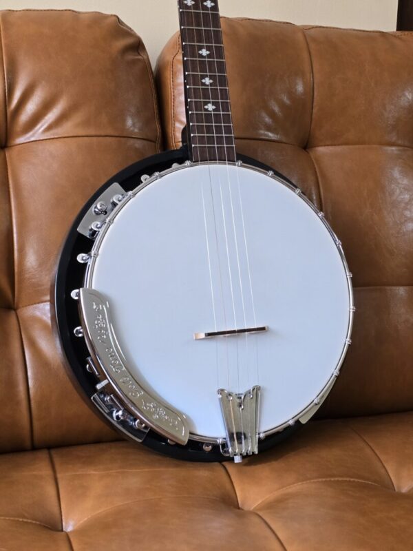 Used Gold Tone CC100R+ Consignment