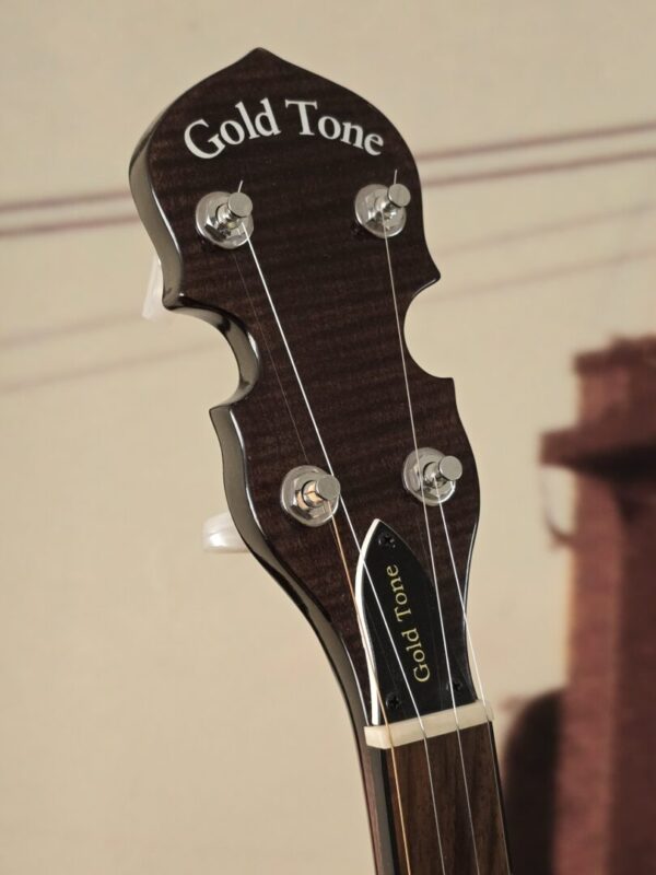 Used Gold Tone CC100R+ Consignment - Image 3
