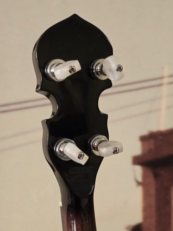 Used Gold Tone CC100R+ Consignment - Image 4