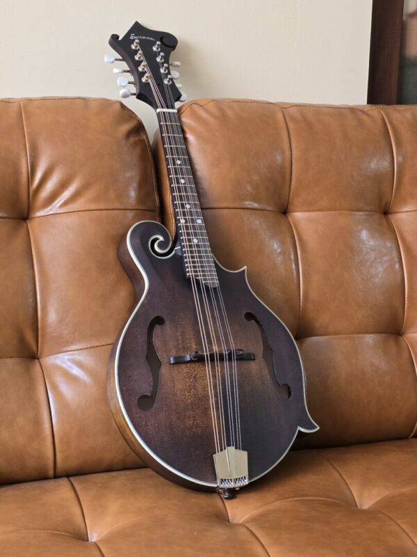 Eastman MD315 w/bag