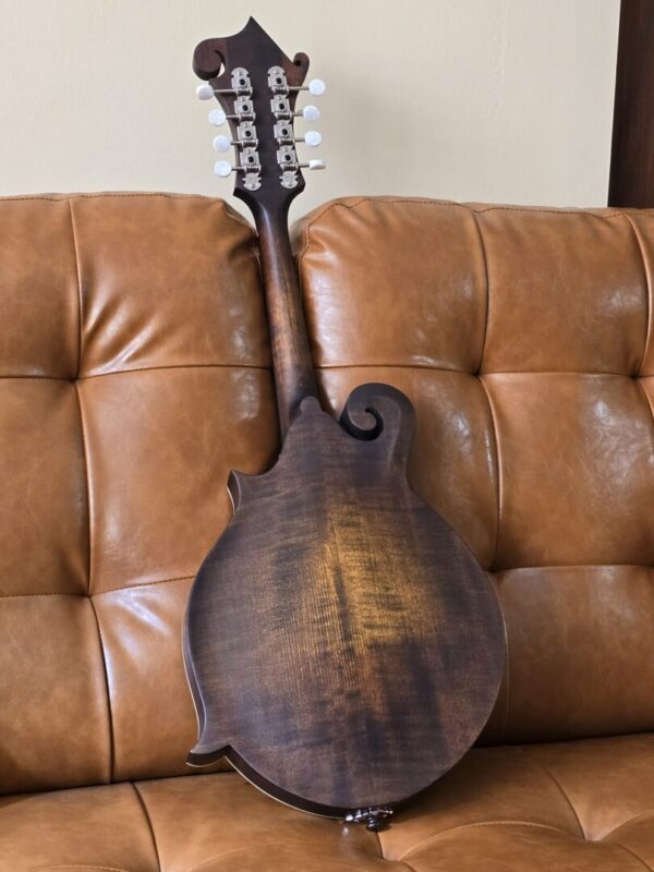 Eastman MD315 w/bag - Image 2