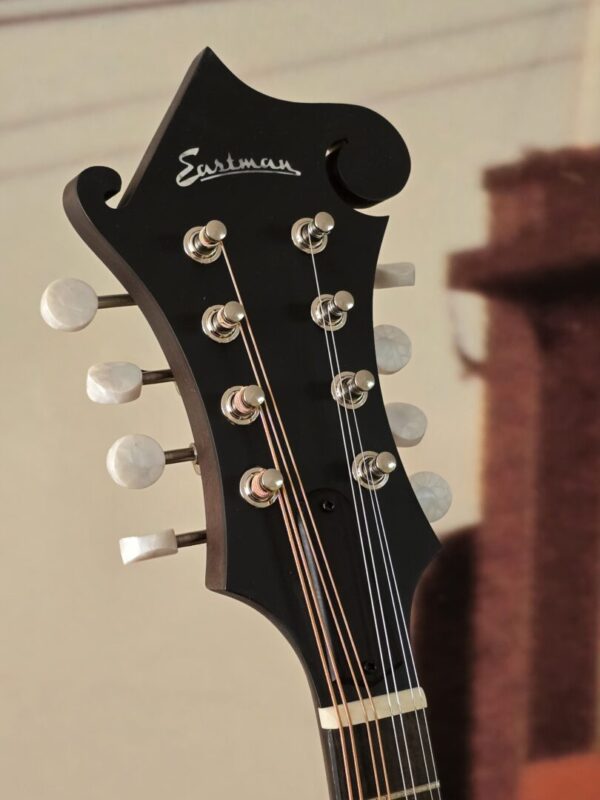 Eastman MD315 w/bag - Image 3