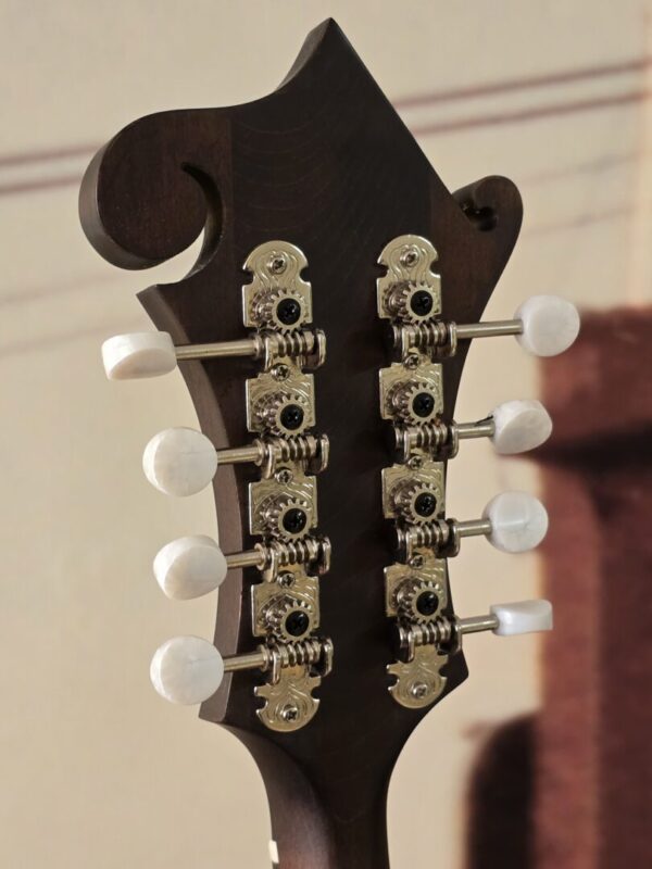 Eastman MD315 w/bag - Image 4