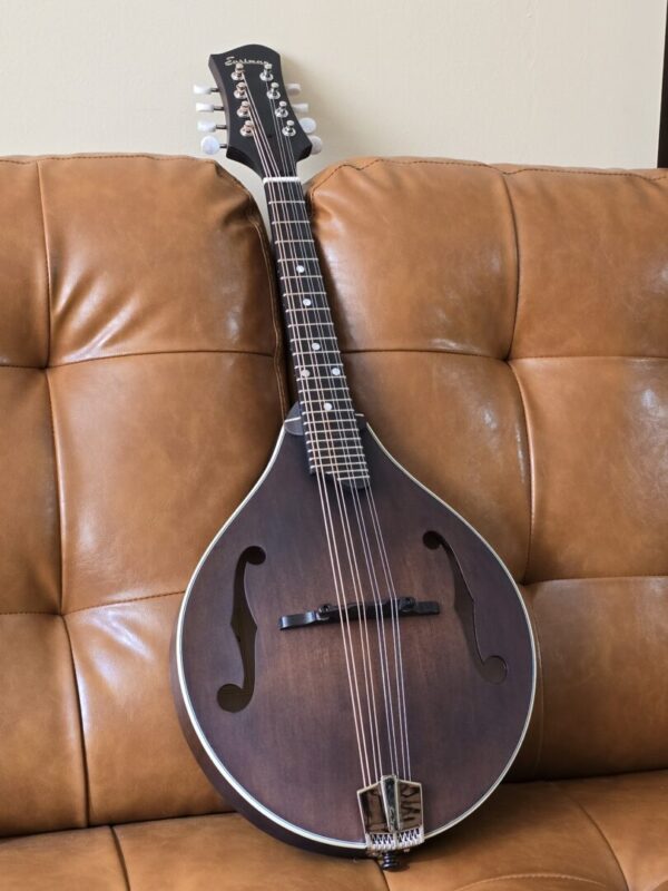 Eastman MD305 w/bag