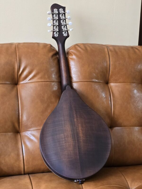 Eastman MD305 w/bag - Image 2