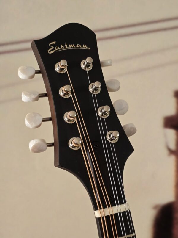 Eastman MD305 w/bag - Image 3