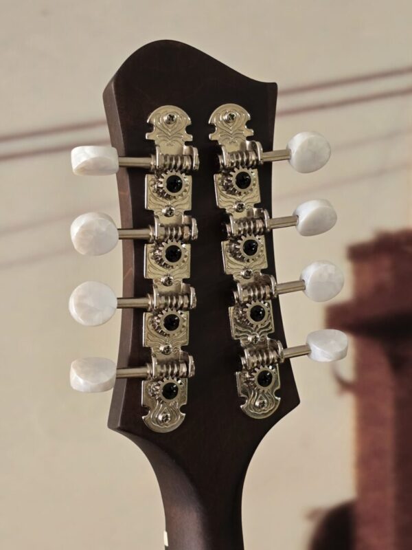 Eastman MD305 w/bag - Image 4