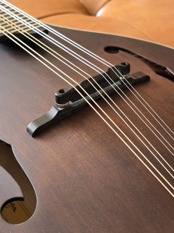 Eastman MD305 w/bag - Image 5