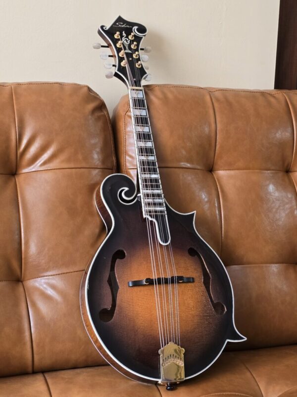 Sohn CL33 F Style 2005 w/Eastman Poly Case Consignment