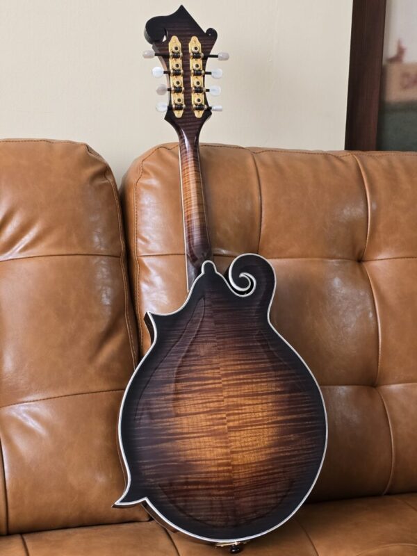 Sohn CL33 F Style 2005 w/Eastman Poly Case Consignment - Image 2
