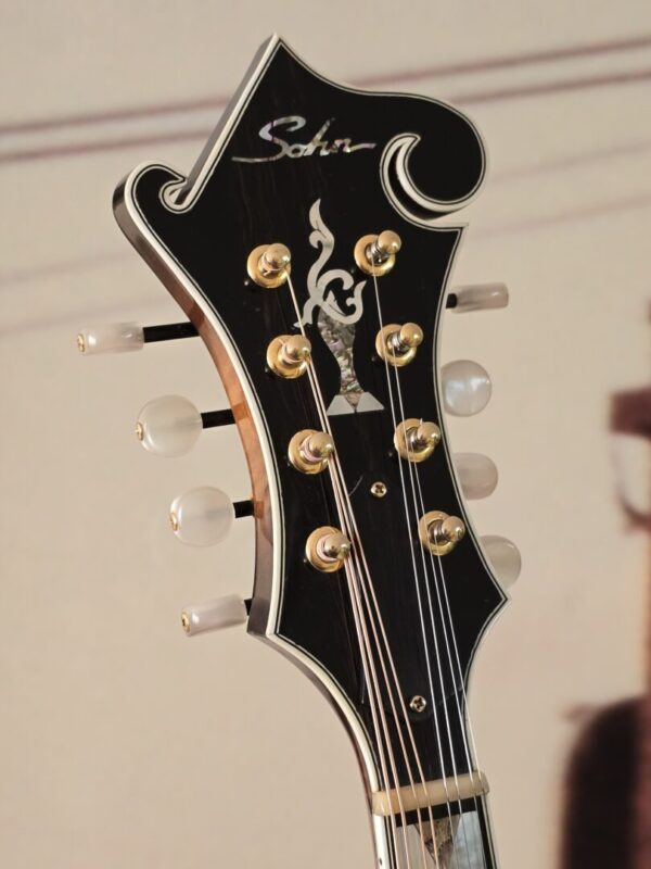 Sohn CL33 F Style 2005 w/Eastman Poly Case Consignment - Image 3