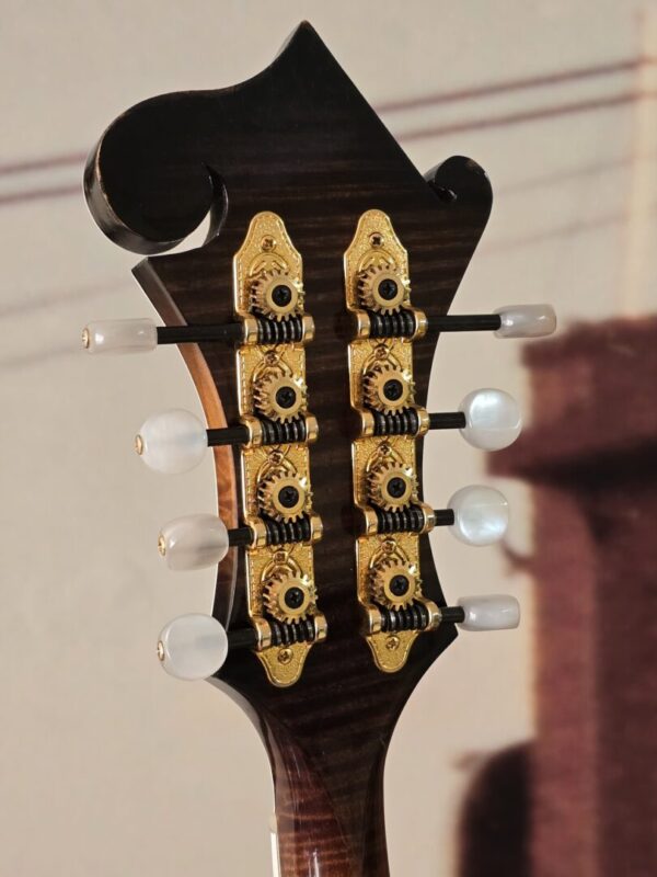 Sohn CL33 F Style 2005 w/Eastman Poly Case Consignment - Image 4