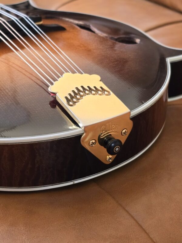 Sohn CL33 F Style 2005 w/Eastman Poly Case Consignment - Image 5