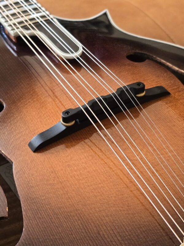 Sohn CL33 F Style 2005 w/Eastman Poly Case Consignment - Image 6