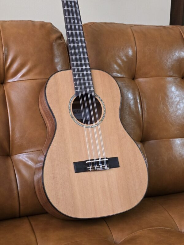 Kala 8 String Baritone Brand New