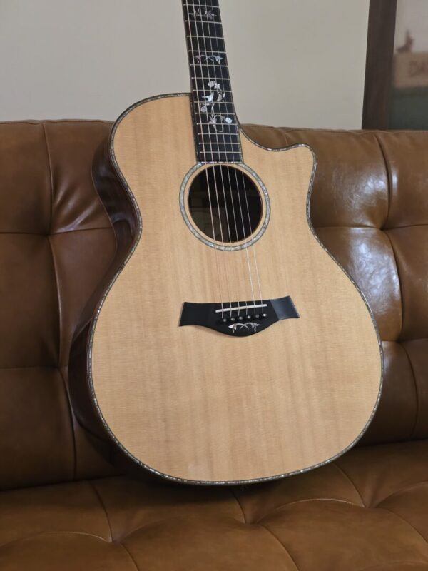 Taylor 2012 X-Braced 914ce w/case Consignment