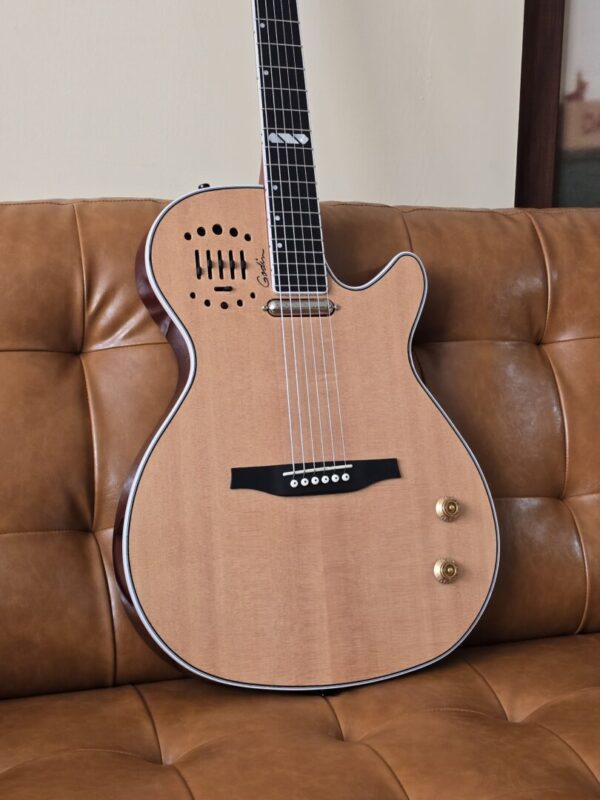 Godin Multiac Steel w/Tric Case Consignment