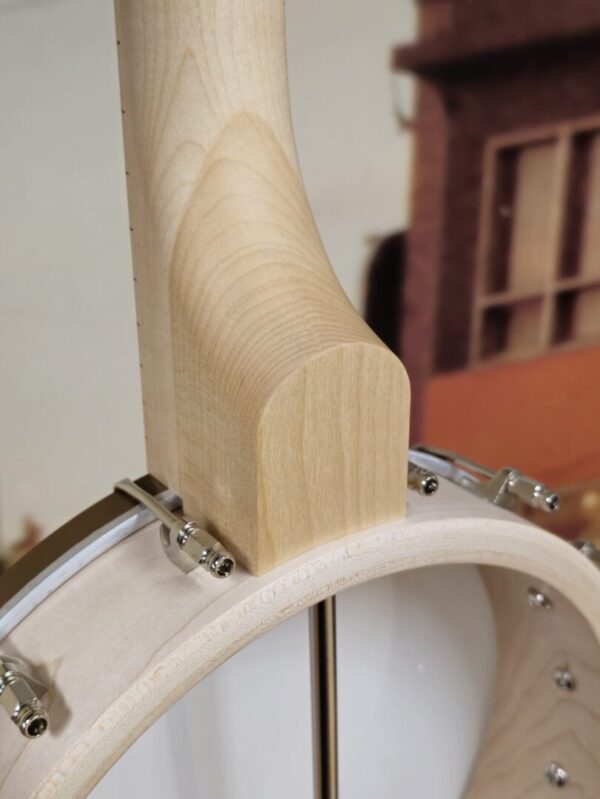 Deering Goodtime 5 String Openback - Image 5