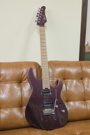 Cort G300 Pro Burgandy