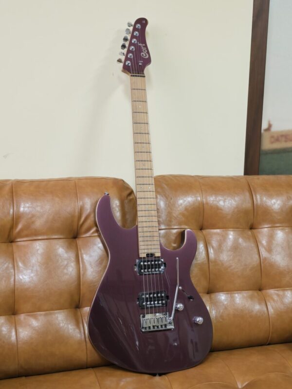 Cort G300 Pro Burgandy