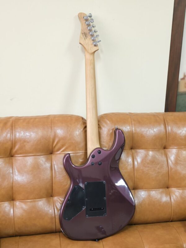Cort G300 Pro Burgandy - Image 2