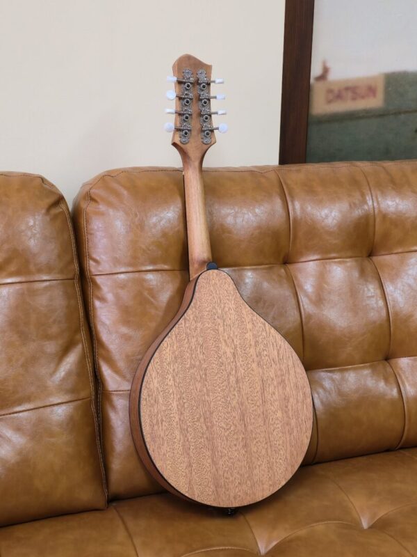 Eastman PCH-M104-GB Sunburst Flat Top Mandolin - Image 2