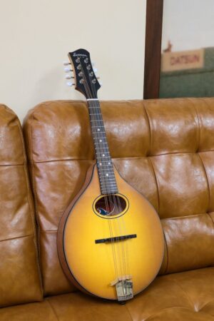 Eastman PCH-M104-GB Sunburst Flat Top Mandolin