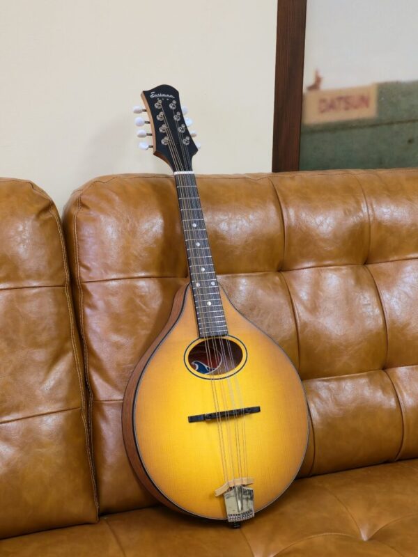 Eastman PCH-M104-GB Sunburst Flat Top Mandolin