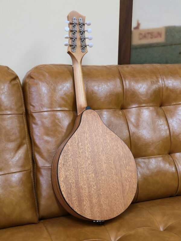 Eastman PCH-M104-NAT Flat top Mandolin - Image 2