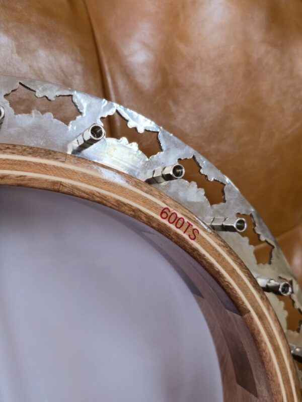 Stelling Staghorn 2006 5 String Banjo w/case Consignment - Image 9