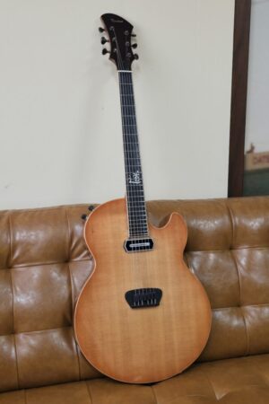 Timtone Blowfish Electric archtop Consignment