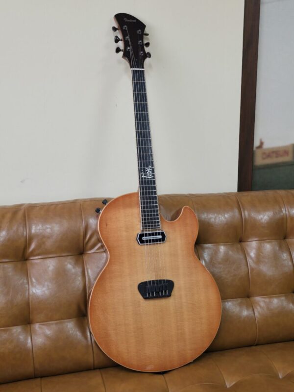 Timtone Blowfish Electric archtop Consignment