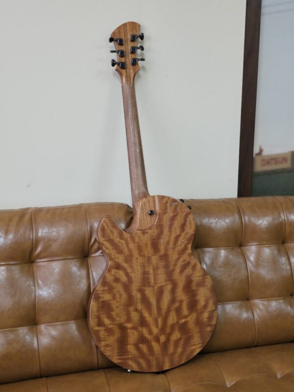 Timtone Blowfish Electric archtop Consignment - Image 2