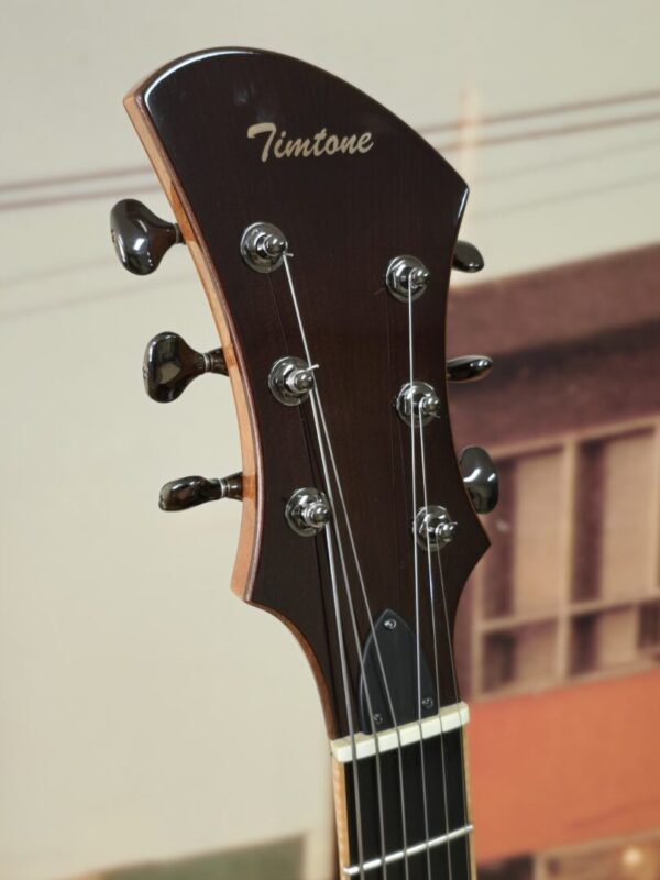 Timtone Blowfish Electric archtop Consignment - Image 3