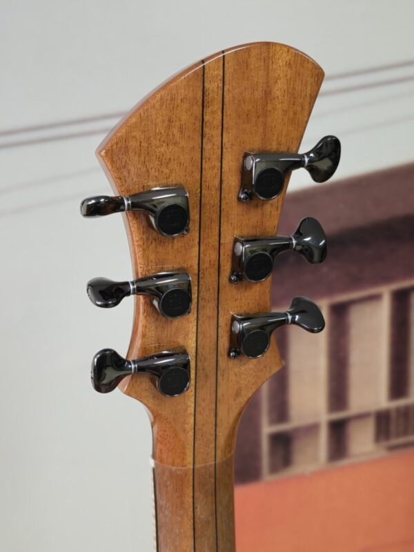 Timtone Blowfish Electric archtop Consignment - Image 4