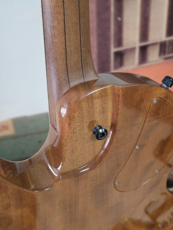Timtone Blowfish Electric archtop Consignment - Image 5