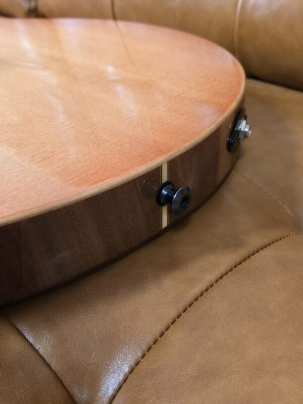 Timtone Blowfish Electric archtop Consignment - Image 6